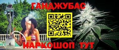 шишки Гусь-Хрустальный