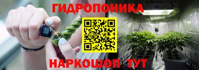 хмурый Гусев