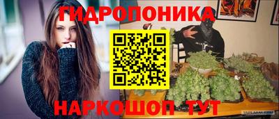 шишки Гусь-Хрустальный