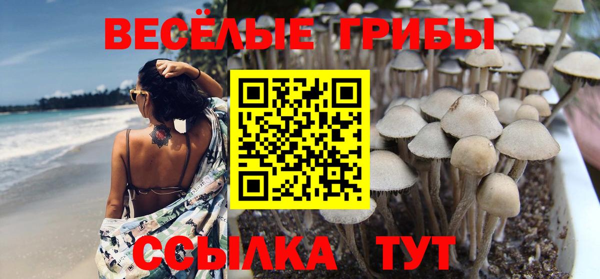 Нижневартовск  Псилоцибиновые грибы Magic Shrooms  Галлюциногенные грибы Psilocybe  Вход с VPN 